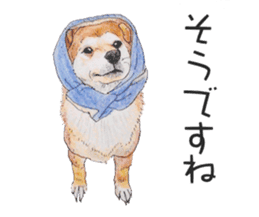 Favorite parts of SHIBAINU 2 sticker #4279362