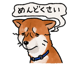 Fuji Shiba Inu 2 sticker #4280732