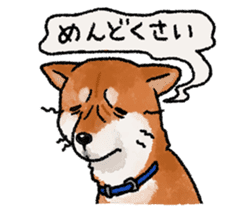 Fuji Shiba Inu 2 sticker #4280732