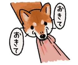 Fuji Shiba Inu 2 sticker #4280735