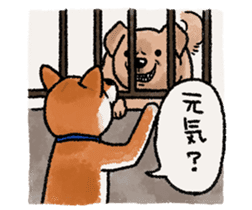 Fuji Shiba Inu 2 sticker #4280746