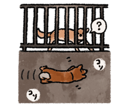 Fuji Shiba Inu 2 sticker #4280753