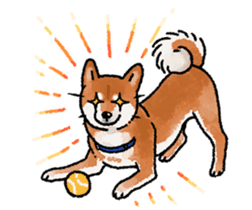 Fuji Shiba Inu 2 sticker #4280757