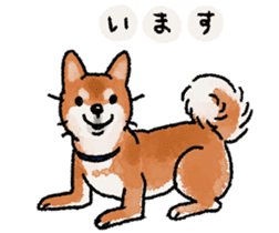 Fuji Shiba Inu 2 sticker #4280759