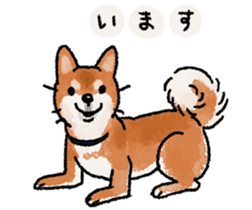 Fuji Shiba Inu 2 sticker #4280759
