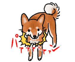 Fuji Shiba Inu 2 sticker #4280761