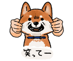 Fuji Shiba Inu 2 sticker #4280762