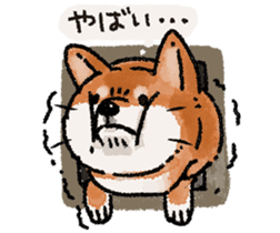 Fuji Shiba Inu 2 sticker #4280764