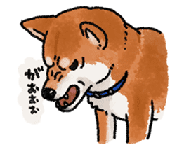 Fuji Shiba Inu 2 sticker #4280767