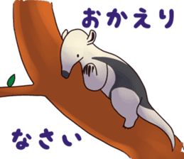 Sticker of anteater. sticker #4282050