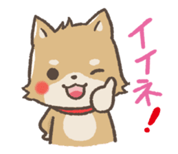 mild-Shiba-Inu sticker #4282940
