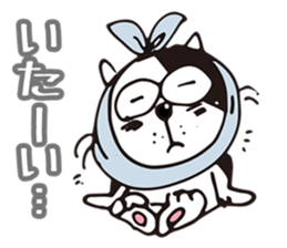 Stray cat Tom-Chan sticker #4284506