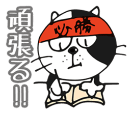 Stray cat Tom-Chan sticker #4284522