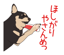 Chihuahua of COCO and LOUIS sticker #4284859