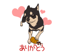 Chihuahua of COCO and LOUIS sticker #4284862