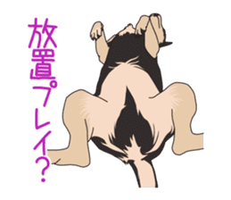 Chihuahua of COCO and LOUIS sticker #4284863