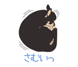 Chihuahua of COCO and LOUIS sticker #4284865