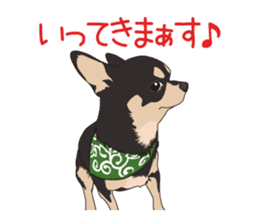 Chihuahua of COCO and LOUIS sticker #4284866