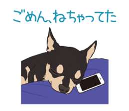 Chihuahua of COCO and LOUIS sticker #4284871