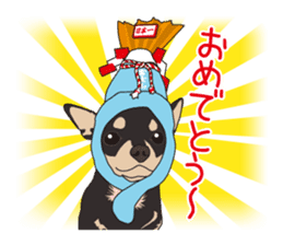 Chihuahua of COCO and LOUIS sticker #4284872