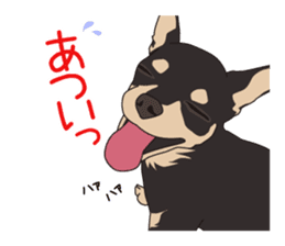 Chihuahua of COCO and LOUIS sticker #4284873
