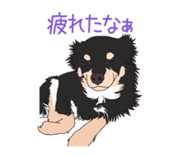 Chihuahua of COCO and LOUIS sticker #4284887