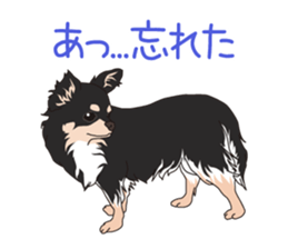 Chihuahua of COCO and LOUIS sticker #4284890