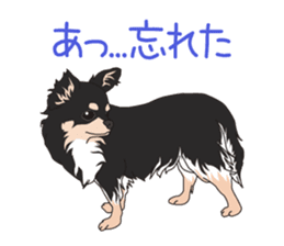 Chihuahua of COCO and LOUIS sticker #4284890