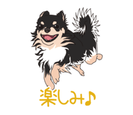 Chihuahua of COCO and LOUIS sticker #4284891