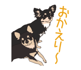 Chihuahua of COCO and LOUIS sticker #4284893
