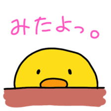 Hiyopiyochan sticker #4286189