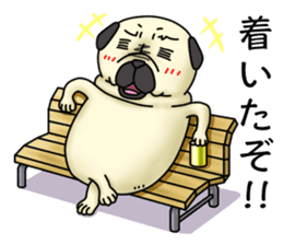 Cheerful pug dog Arrived? arrived! sticker #4287202