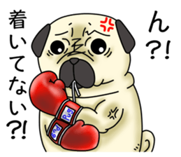 Cheerful pug dog Arrived? arrived! sticker #4287210