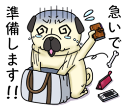 Cheerful pug dog Arrived? arrived! sticker #4287215