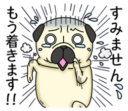 Cheerful pug dog Arrived? arrived! sticker #4287223