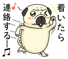Cheerful pug dog Arrived? arrived! sticker #4287224