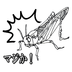 Cool insect stickers