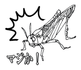 Cool insect stickers sticker #4287520