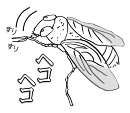 Cool insect stickers sticker #4287538