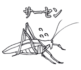 Cool insect stickers sticker #4287548