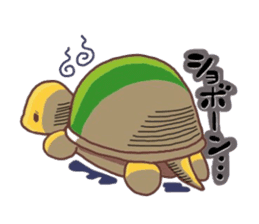 Lovely tortoise sticker #4288803