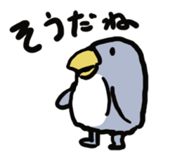 PENPENPENGUIN sticker #4288944