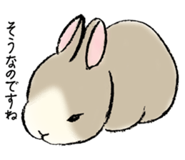 Baby rabbits sticker #4290064