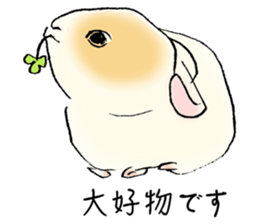 Baby rabbits sticker #4290065