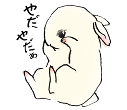 Baby rabbits sticker #4290066