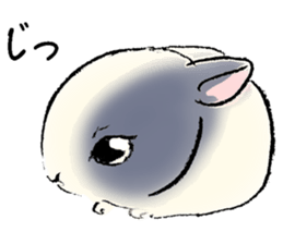 Baby rabbits sticker #4290067