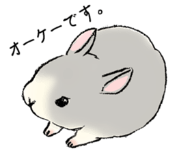Baby rabbits sticker #4290070