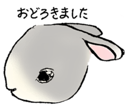 Baby rabbits sticker #4290072