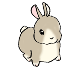 Baby rabbits sticker #4290073