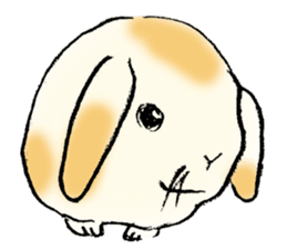 Baby rabbits sticker #4290074